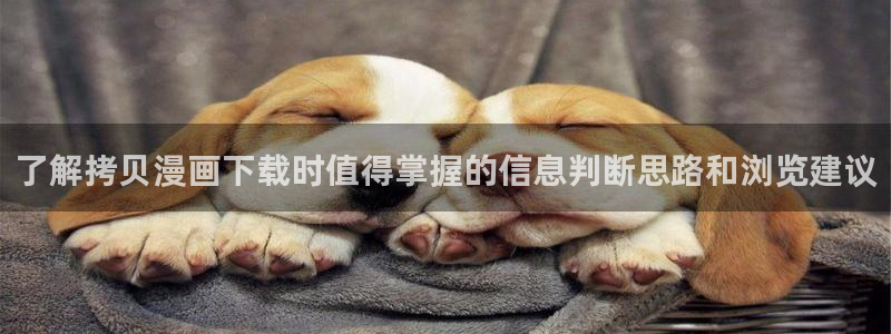 免费漫画网页
