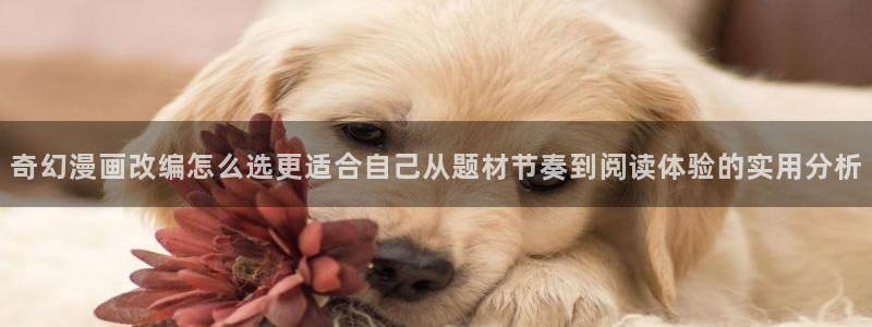 免费漫画漫画连载:奇幻漫画改编怎么选更适合自己从题材节奏到阅读体验的实用分析