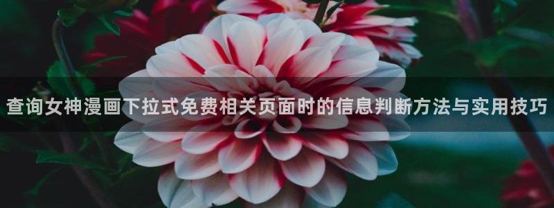 免费漫画连载作品